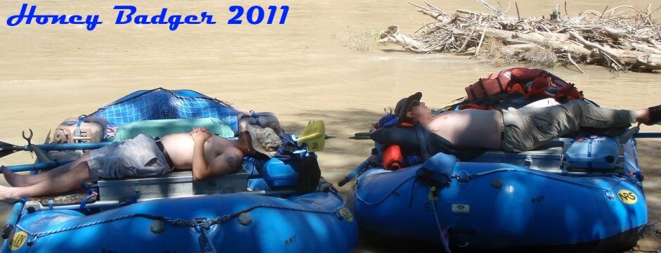 DESO 2011